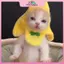 MYPANDA Chuối Mèo Đầu Sáng Tạo Mèo Dễ Thương Mũ Thú Cưng Mèo Sang Trọng Trang Phục Hóa Trang Chuối Mũ Đội Đầu Hiệu Suất Ảnh Prop.