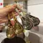 Ins Thép Không Gỉ Hàn Quốc Thìa Canh Nhà Bếp Dung Tích Nhà Gương Vàng Bạc Đánh Bóng Flatware Cho Cà Phê Bộ Đồ Ăn VN