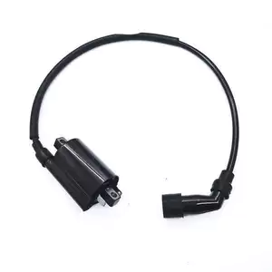 Thích hợp sử dụng Haojue Suzuki GW250 GSX250DL250 gói cao áp lắp ráp cuộn dây đánh lửa lắp ráp cho xe máy