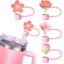 Phong Cách Mới Sakura Ống Hút 10 Mm Thủy Tinh Mũ Rơm Đào Dòng Stanley Ống Hút Chống Bụi Cắm GJKL