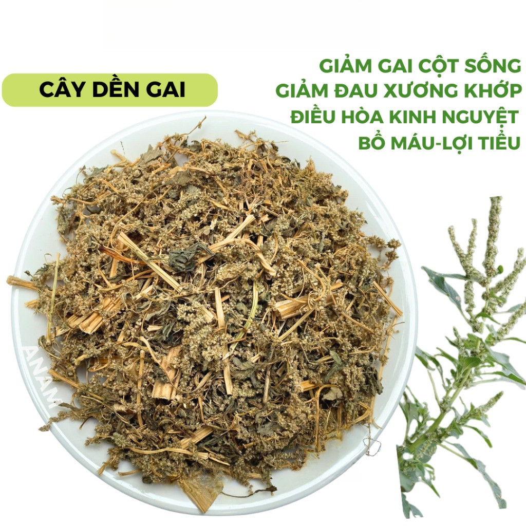 Cây dền gai khô Rau dền gai dền hoang thơm ngon xanh sạch tốt cho xương ...