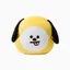 BTS BTS Búp Bê Gối Kim Tae Hyung Tian Jungkook RJ Búp Bê TATA Sang Trọng Búp Bê BT21 Gối 6.13