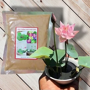Bùn Khô Trồng Hoa Sen Súng, Gói 200gr, Phù Hợp Cây Thuỷ Sinh