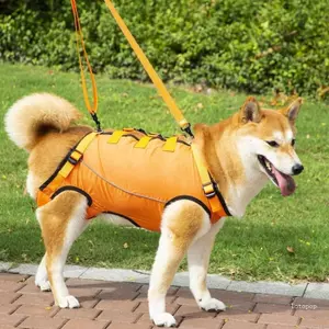 Top Dog Lift Slings Với Hình Chữ T Công Thái Học Và Đệm Mềm Cho Chấn Thương Khớp Phục Hồi Chó Lớn Cũ Giống Mang Sli