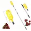 Bayberry Hand-Picked Bayberry Tool Máy hái trái cây ép trái cây có thể thu vào có thể thu vào bằng tay Kéo ép trái cây Loquat