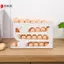 Sử dụng Hộp đựng trứng cuộn xuống tự động Nhà bếp Tủ lạnh Cửa bên Bảo quản trứng Ra 30 miếng Để Pa Hộp trứng VN
