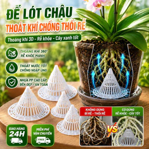 🔥Đế lót chậu nhựa hình nón thoát khí chống thối rễ |Lót đáy chậu thoát nước dạng lưới |Đệm lót chậu cây chống ngập úng