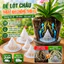 🔥Đế lót chậu nhựa hình nón thoát khí chống thối rễ |Lót đáy chậu thoát nước dạng lưới |Đệm lót chậu cây chống ngập úng