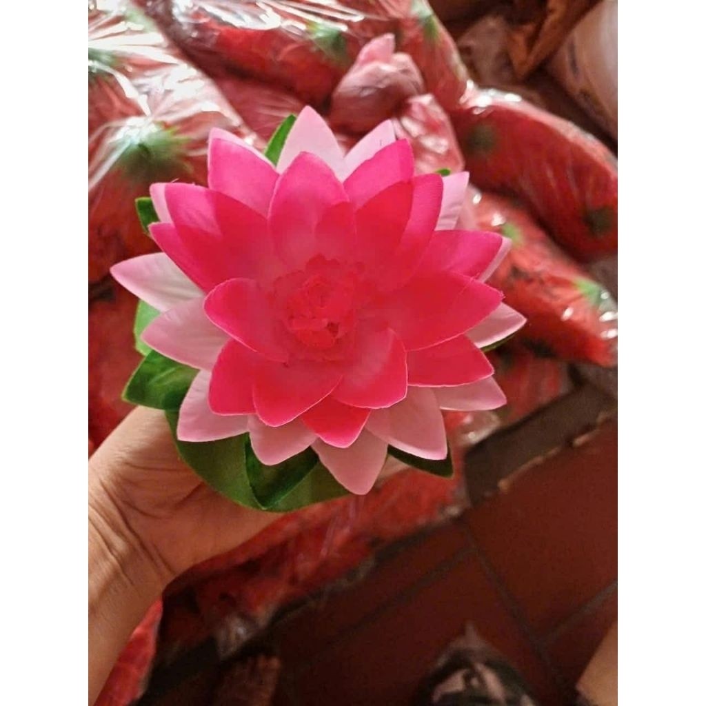 Hoa sensúng có sẵn chun phía sau xỏ ngón tay, dùng để múa đồng diễn, biểu diễn văn nghệ, Đạo cụ phụ kiện Nguyễn Nhật