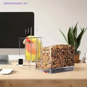 Hộp đựng thức ăn cho chim dung tích lớn Hộp đựng thức ăn cho chim chống bắn tung tóe Hộp đựng thức ăn cho vẹt bền cho chim nhỏ vừa MỚI