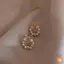 Bông tai Zircon nơ ngọc trai mới Châu Âu và Mỹ Ánh sáng thời trang Tính khí sang trọng Đơn giản Bông tai nữ cá tính mới