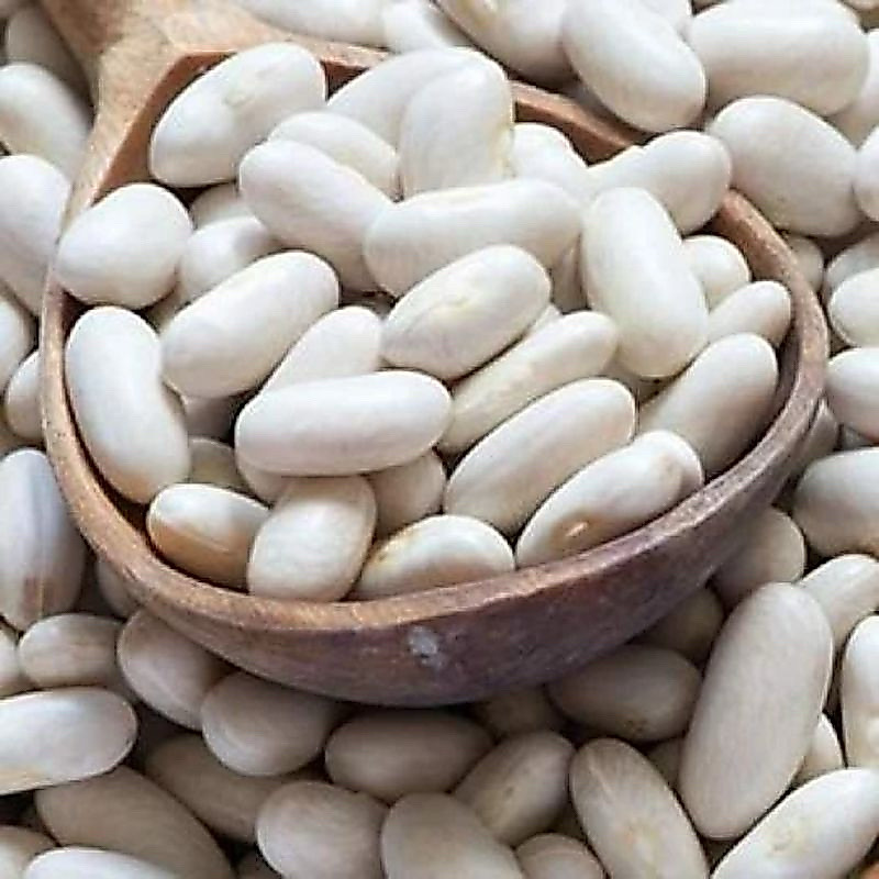 ( 1KG) Đậu trắng hạt to