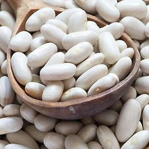 Đậu trắng hạt to