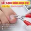 ⚡Ship Nhanh⚡Kìm cắt móng chân viêm sâu | Bấm inox cắt da chết tiện lợi | Kìm chỉnh hình móng âm cao cấp