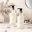 Dầu gội chống gàu Camellia Dầu gội chống ngứa Kiểm soát dầu lông tơ Loại bỏ vết bẩn Sữa tắm Bộ hương thơm lâu trôi AJBO