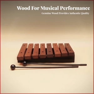 Bộ gõ màu đỏ Xylophone bằng gỗ Bộ dụng cụ âm nhạc Vít có thể nhìn thấy