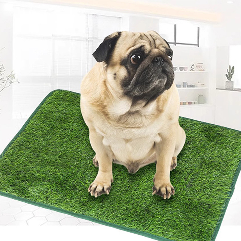 Cỏ nhân tạo Puppy Pee Pad Có thể giặt được Huấn luyện bô thay thế cho chó và thú cưng nhỏ