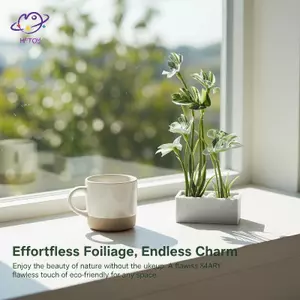 HFTOY Thu Nhỏ Trong Chậu Rùa Ba Tre Trang Trí 1 Cây Xanh Mẫu Cây Cho Nhà Búp Bê Trang Trí Bàn Hoặc Kệ ~