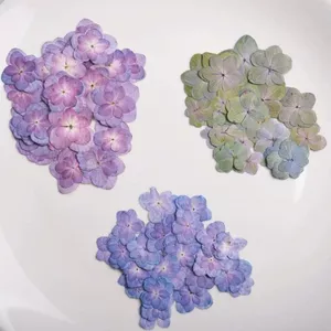 Ooolala Màu Chính Tự Nhiên Đa Chân Hydrangea Bấm Hoa Epoxy Ốp Điện Thoại diy Hoa Thật Coaster Bấm Hoa Khung Ảnh Filler