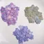 Ooolala Màu Chính Tự Nhiên Đa Chân Hydrangea Bấm Hoa Epoxy Ốp Điện Thoại diy Hoa Thật Coaster Bấm Hoa Khung Ảnh Filler