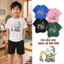 Áo thun trẻ em in hình Hình hoạt hình Vải mềm mại bé từ 2-12 tuổi