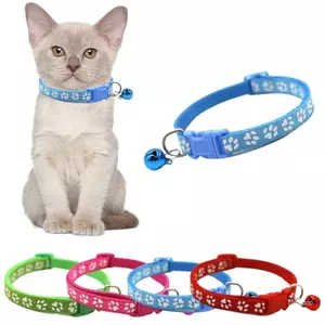 Cổ áo phụ kiện mèo thời trang hàng đầu có chuông màu sắc tươi sáng cổ mèo in hình đáng yêu để tập đi bộ ngoài trời Sử dụng