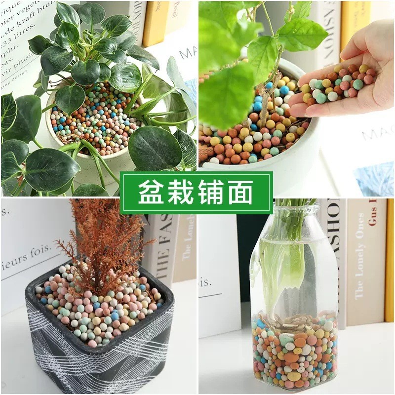 Hạt Đất Dinh Dưỡng Hạt Gốm Nhiều Màu Sắc Đệm Hoa Đáy Đá Nằm Chậu Cây Thoáng Khí Thủy Canh Hạt Hoa mọng Nước Nutri