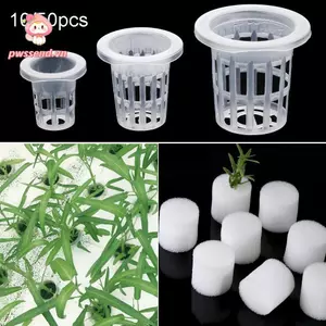 PWSEND 10 / 50 Chiếc Mầm Non Bọt Biển Bền Bể Cá Không Đất Trồng Thủy Canh Chậu Hoa