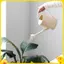 Bình tưới nước miệng dài 2L Dụng cụ làm vườn hoa thực tế Dụng cụ tưới cây