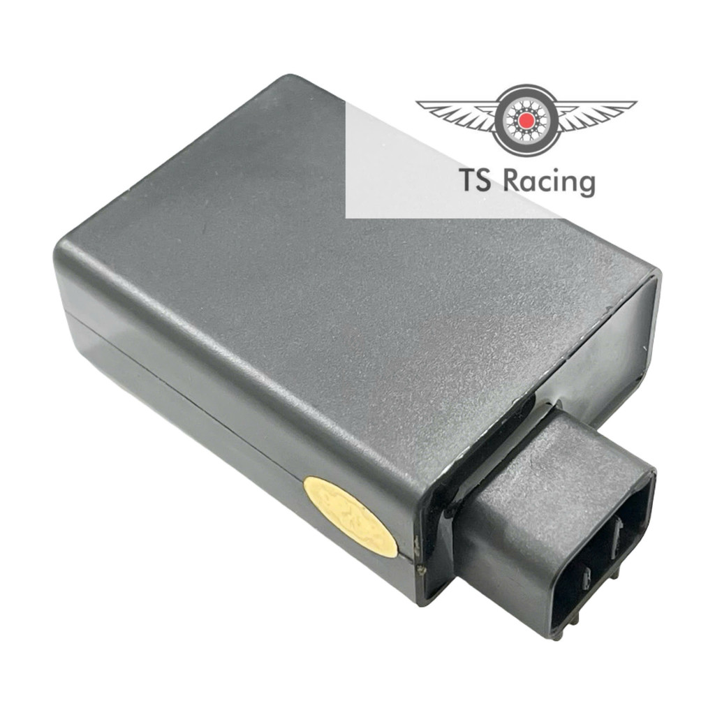 IC CDI đánh lửa raider xăng cơ - saitra FU150i 2014 - 2016