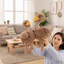 Búp bê nhồi bông QEARY Ostrich, Thiết kế sáng tạo Đồ chơi nhồi bông đà điểu mềm mại, Đồ chơi trang trí bàn làm việc 25cm ngộ nghĩnh Phong cách mô phỏng Ba lô búp bê động vật hoang dã treo