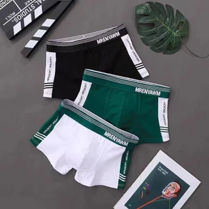 Đồ lót trẻ trung được làm bằng vải Nylon dệt trơn, có nhiều màu, Kích thước là M-2XL, Thích hợp để mặc bốn mùa.