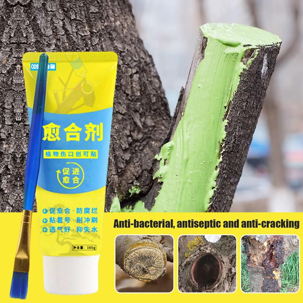 Tree Pruning Sealer Bonsai Tree Pruning Sealer Agent 100g Weatherproof Paste with Brush Trunk Dressing greiwe2vn