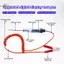 HL 5V-120V Bút kiểm tra ô tô Kiểm tra mạch điện áp DC Màn hình kỹ thuật số Bút thăm dò Bút điện Dụng cụ chẩn đoán tự động 2V 12V 24V 48V LMWU