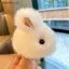 # HB # Móc khóa thỏ sang trọng di động dễ thương Mini Bunny Fur Hairball Mặt dây chuyền Túi treo đồ trang trí Chìa khóa ô tô Quà tặng.