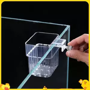 Cốc trồng thủy canh Cốc trồng cỏ nước gia đình Cốc trồng cây treo tường Bể cá trong suốt cao Trang trí cảnh quan