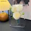Bình khung ảnh Acrylic Bình hoa thủy canh hiện đại Giá đỡ cây để bàn Trang trí Quà tặng tại nhà Trang trí bàn cưới Trang trí trung tâm [VN]