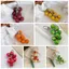 QEARY Berry Túi Charm, Chunky Hạt Thực Tế 3D Trái Cây Đỏ Móc Chìa Khóa, Trang Sức Trái Cây Dễ Thương Acrylic Bền Phong Cách Handmade Nhẫn Nhựa Nhẹ Sinh Nhật