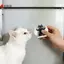 Nam Châm Bình Mèo Mini Cho Tủ Lạnh Thiết Kế Đôi Whisker Collector Mèo Từ Tính Dễ Thương Trang Trí Nhà Cho Nhà Bếp Tủ Lạnh Từ Tính VN