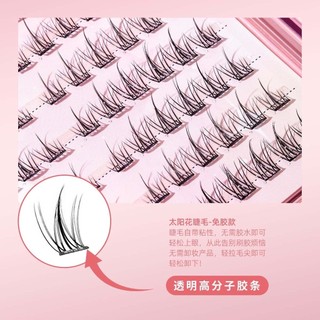 Lông mi phân đoạn mô phỏng hướng dương dung tích lớn 120