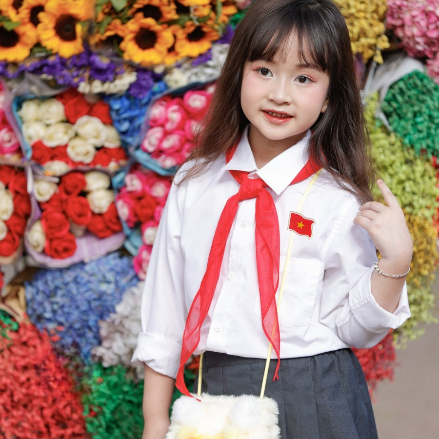 Pin cài áo cờ Việt Nam, ghim cài áo, kẹp tóc cờ đỏ sao vàng, quà lưu niệm,phụ kiện yêu nước -Quà Tặng Sango