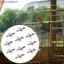 JUNYUE88US Lồng Gắn Vít, M6 Ren Ba Chiều Dài Đa Năng Chốt Bộ, Đa Năng Có Vòng Đệm Kim Loại Bền Chính Xác Ren Phần Cứng Thay Thế Hamster Môi Trường Sống