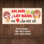 EM MỚI 9 LẦN MỚI ĐỖ, Em Mới Lấy Bằng, Tập Lái, Em Lái Mới Xin Thông Cảm, Tem Dán Xe Ô Tô - 3168