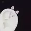 PNPIA- 1 Cái Dễ Thương Chó Và Mèo Hình Tai Xương Móng Tay Ngọt Ngào Thoáng Mát Bông Tai Dành Cho Nữ Hợp Thời Trang Cơ Thể Xuyên Phụ Kiện