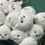 Búp bê con dấu dễ thương Mặt dây chuyền đồ chơi sang trọng Mô phỏng Đồ chơi đại dương Con dấu lưu niệm Mặt dây chuyền Quà tặng Túi búp bê Mặt dây chuyền