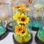 GCDHome Hoa Hướng Dương Đèn Ngủ Hoa Kính Bao Đèn Bóng Hoa Hồng Đèn LED Lá Hoa Sáng Tạo Để Bàn Trang Trí HOT