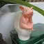 1 Cái Đồ trang trí máy tính để bàn động vật trong nhà đa năng Lợn / Ếch màu hồng đáng yêu trên nhà vệ sinh Bức tượng Whimsical Văn phòng tại nhà và trang trí ô tô Quà tặng cho bạn bè Đẹp