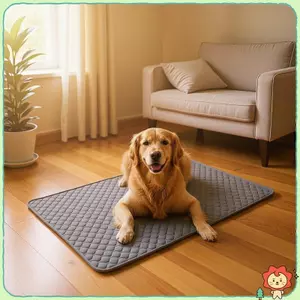 Có Thể Giặt Được Chó Pee Pad Có Thể Tái Sử Dụng Chống Thấm Nước Thảm Huấn Luyện Thú Cưng Chống Trơn Trượt Thấm Hút Giường Cho Chó Con Mèo Nhỏ Vừa Chó Lớn
