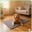 Có Thể Giặt Được Chó Pee Pad Có Thể Tái Sử Dụng Chống Thấm Nước Thảm Huấn Luyện Thú Cưng Chống Trơn Trượt Thấm Hút Giường Cho Chó Con Mèo Nhỏ Vừa Chó Lớn