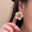 Thời Trang Hàn Quốc Cá Tính Sang Trọng Zircon Tinh Tế Phong Cách Mới Sang Trọng Bông Tai Sang Trọng Bán Buôn